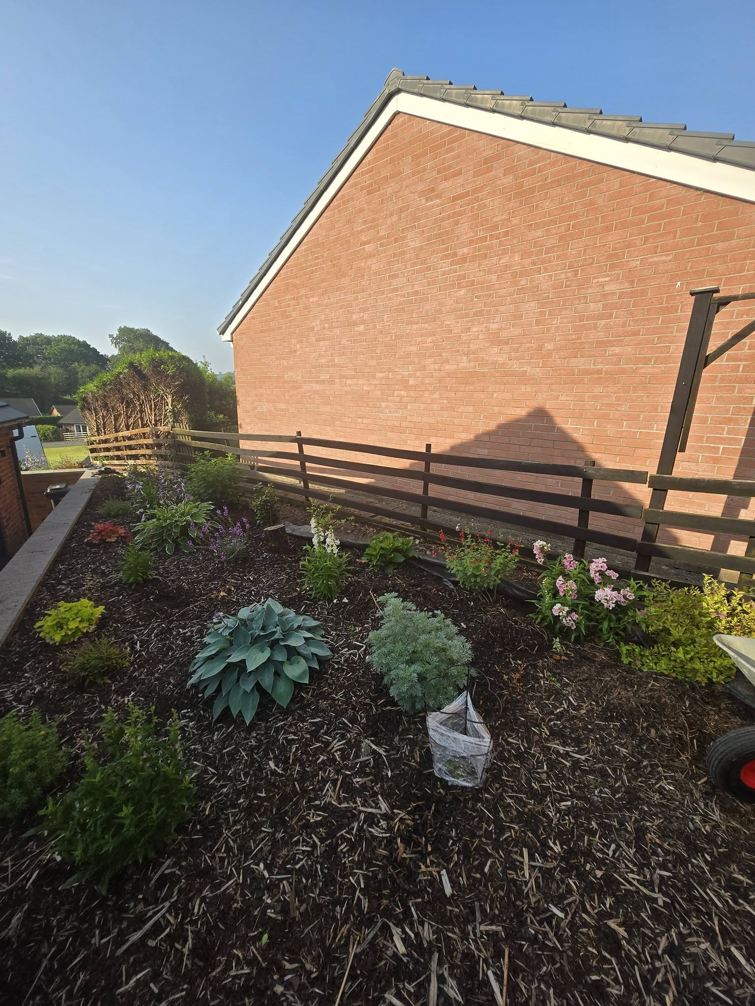 Garden beside a house with timber fencing